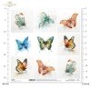 Motyl, motyle, owady, akwarela